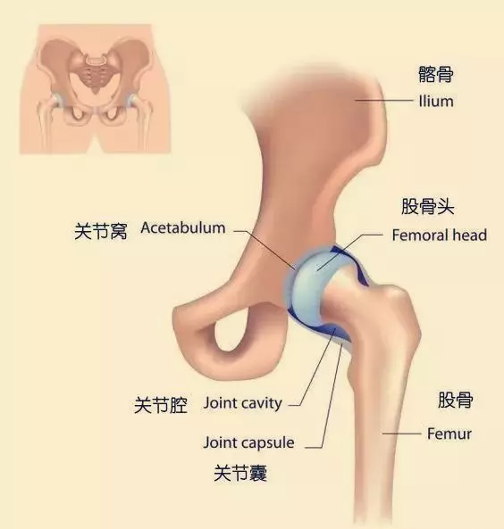 如何在练习开髋体式中让膝盖更加安全？